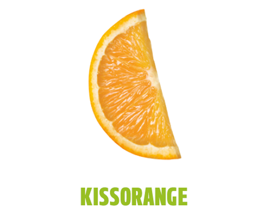 Kiss Orange Rodaja